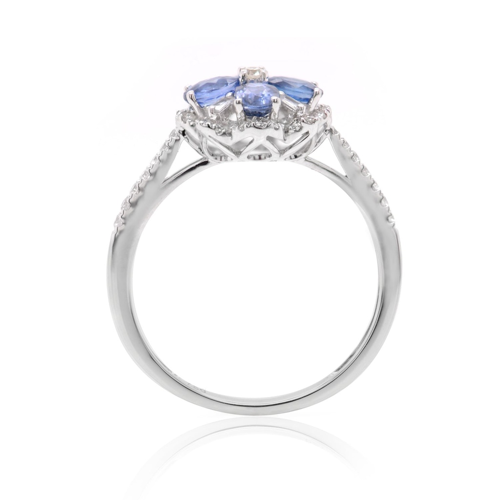 Foto Adicional Recarga