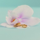 Foto Adicional Recarga