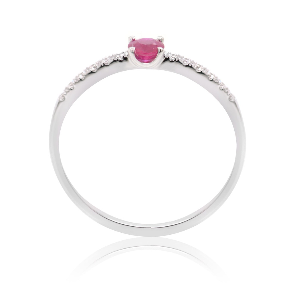 Foto Adicional Recarga