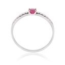 Foto Adicional Recarga