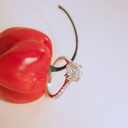 Foto Adicional Recarga