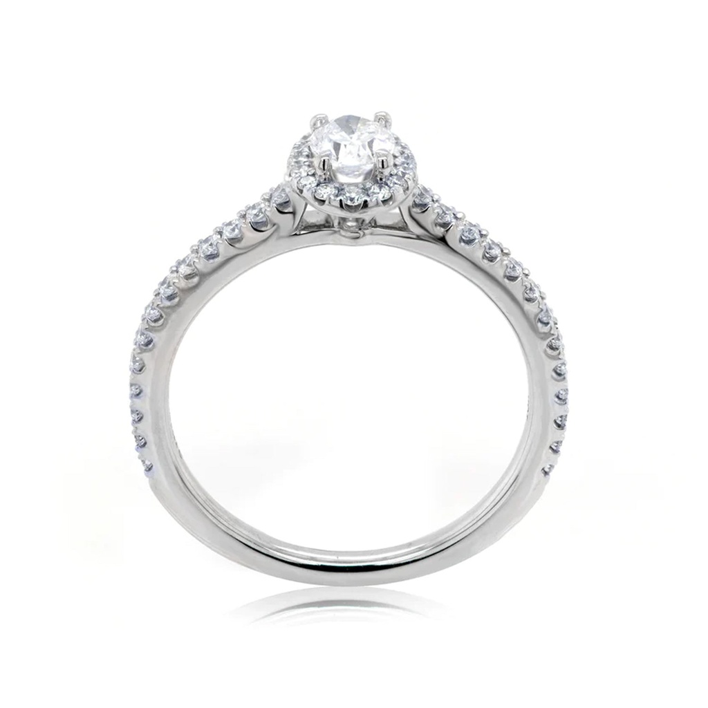 Foto Adicional Recarga