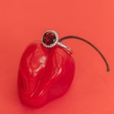 Foto Adicional Recarga