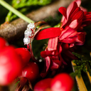 Foto Adicional Recarga