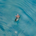 Foto Adicional Recarga