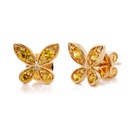 Foto Adicional Recarga