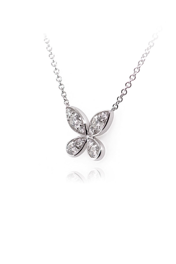 Foto Adicional Recarga