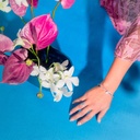 Foto Adicional Recarga