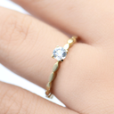 Foto Adicional Recarga