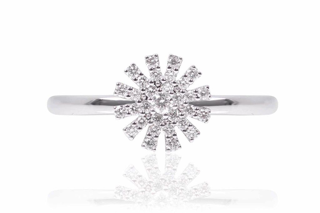 Foto Adicional Recarga