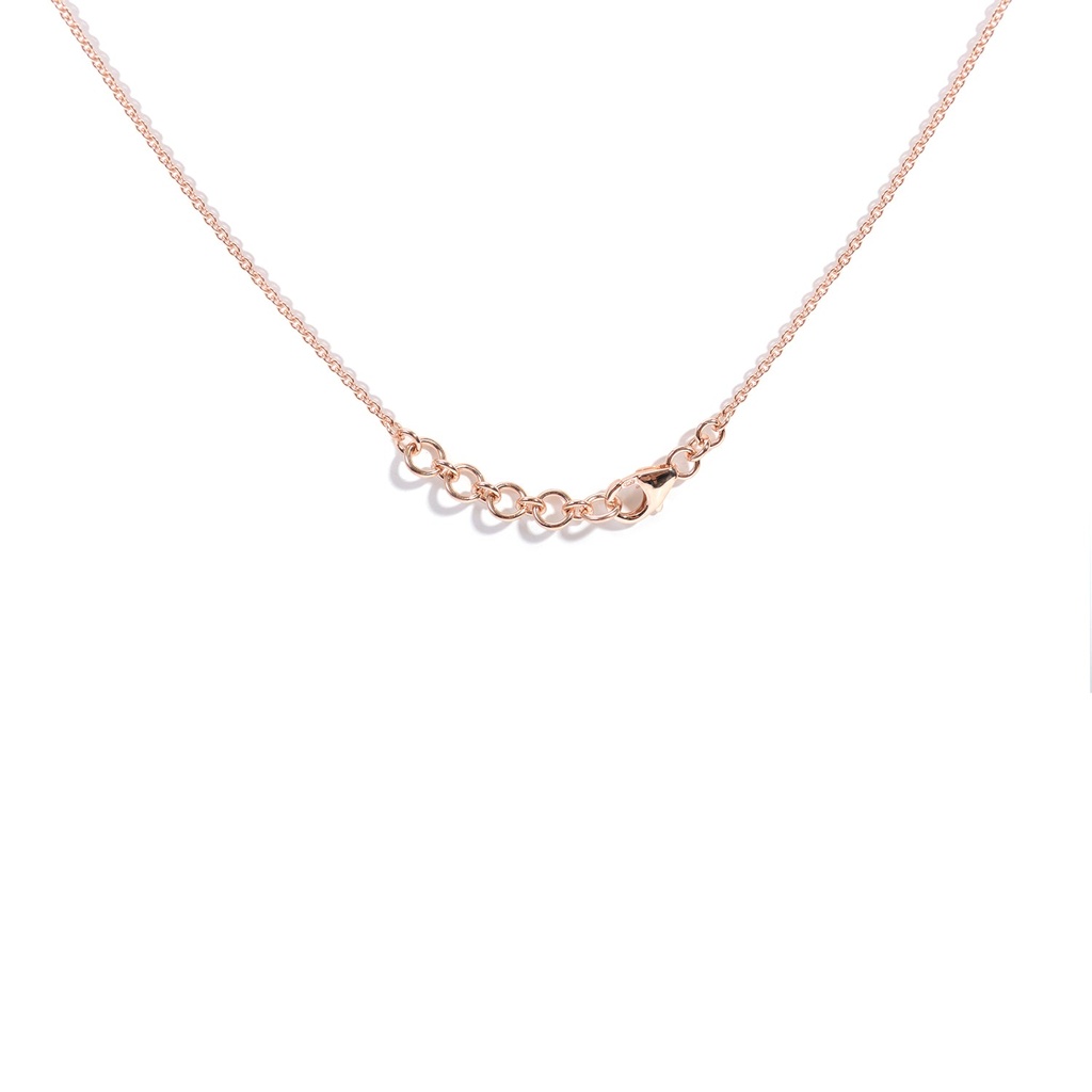 Foto Adicional Recarga