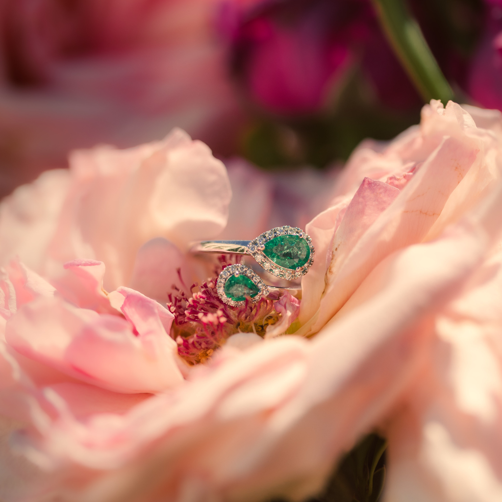 Foto Adicional Recarga