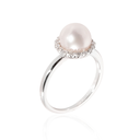 Foto Adicional Recarga