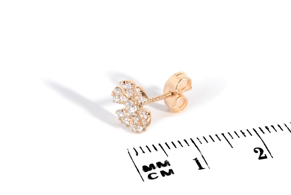 Foto Adicional Recarga