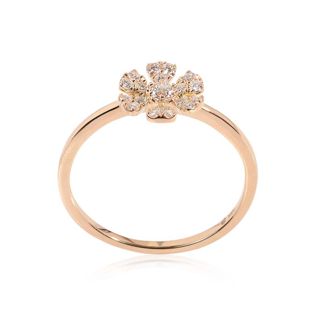 Foto Adicional Recarga