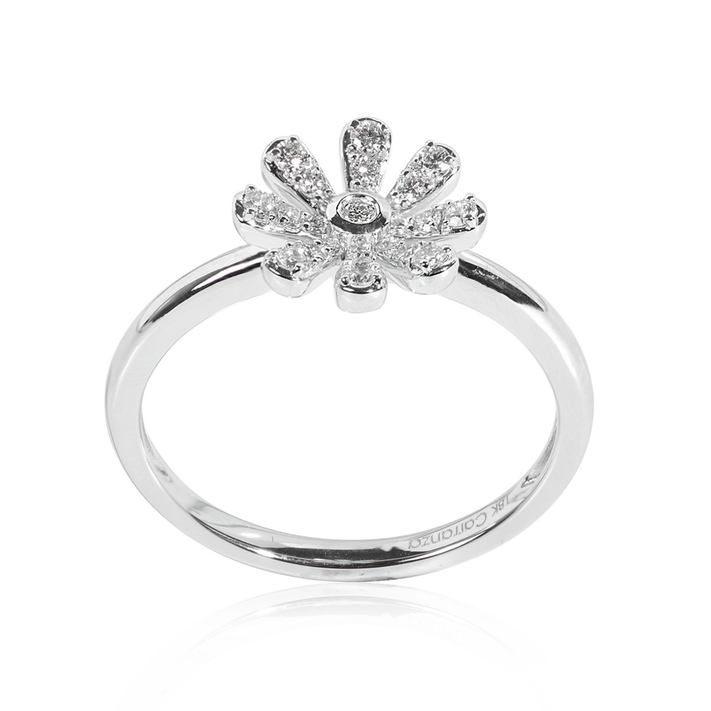 Foto Adicional Recarga