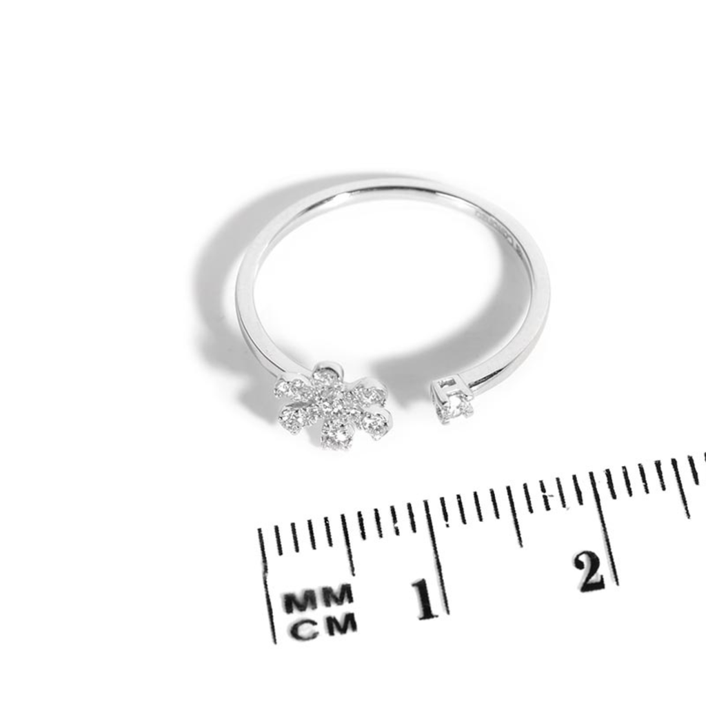 Foto Adicional Recarga