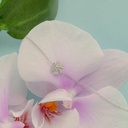 Foto Adicional Recarga