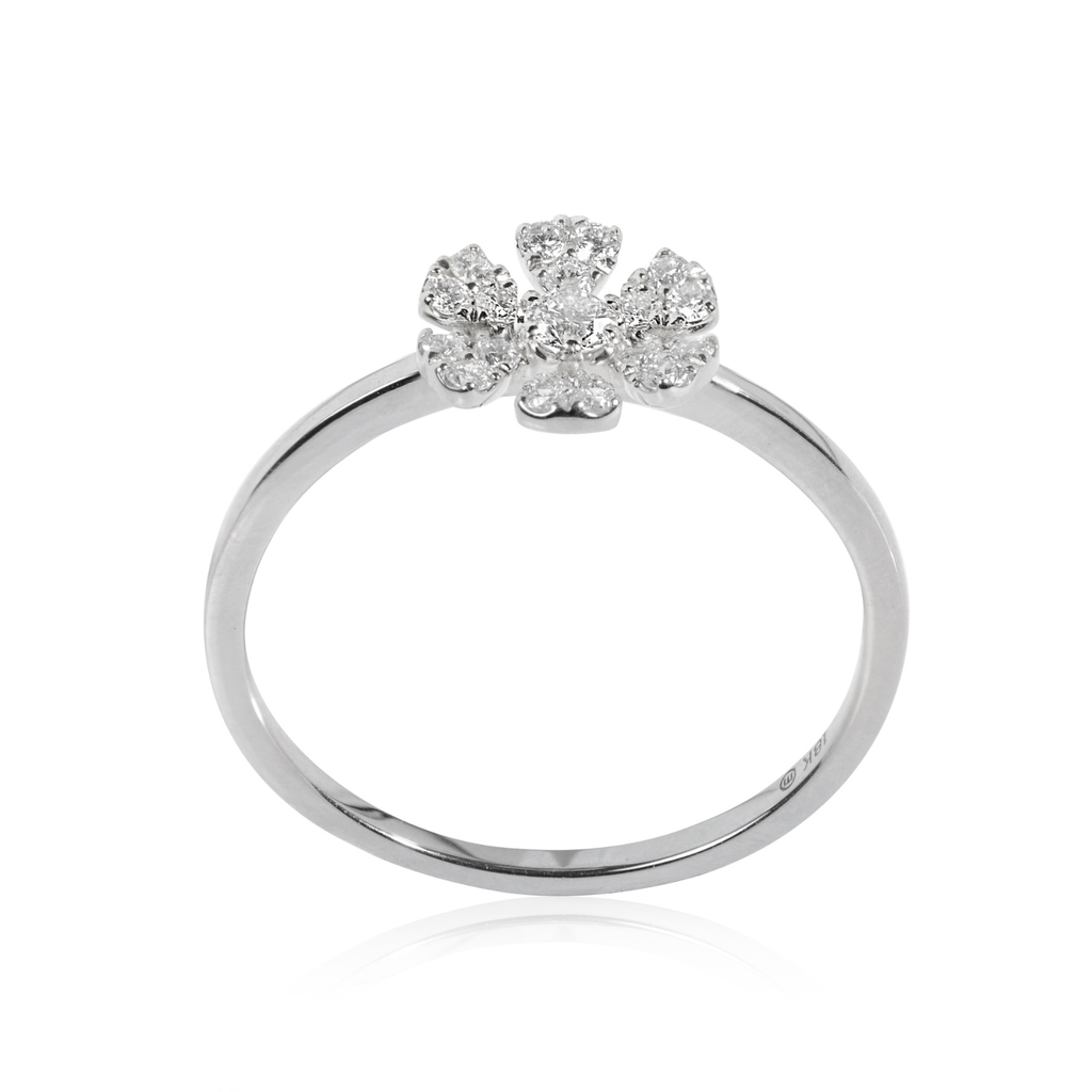 Foto Adicional Recarga