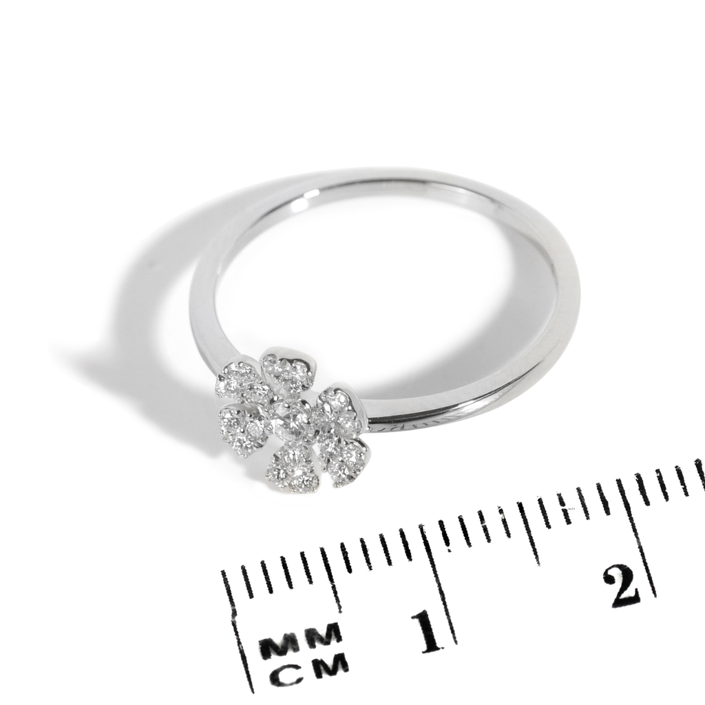 Foto Adicional Recarga