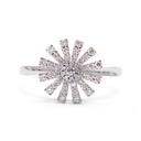 Foto Adicional Recarga