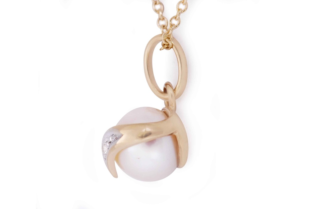 Foto Adicional Recarga