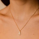 Foto Adicional Recarga