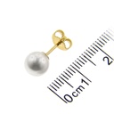 Foto Adicional Recarga