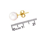 Foto Adicional Recarga