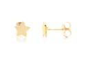 ARETES STAR/6.5MM 0.80 14KY