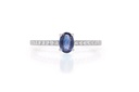 ANILLO CELLINI ZAFIRO 44P-OV 16B12P GVS 2.0GR ORO BLANCO 18K