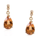 ARETES SKY  2CITRIN219P 4B5PVSG  2.30 18KY