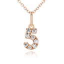 GARG C/DIJ NUMERO-5 B8P +CAD40/45CM 2.00 18KR