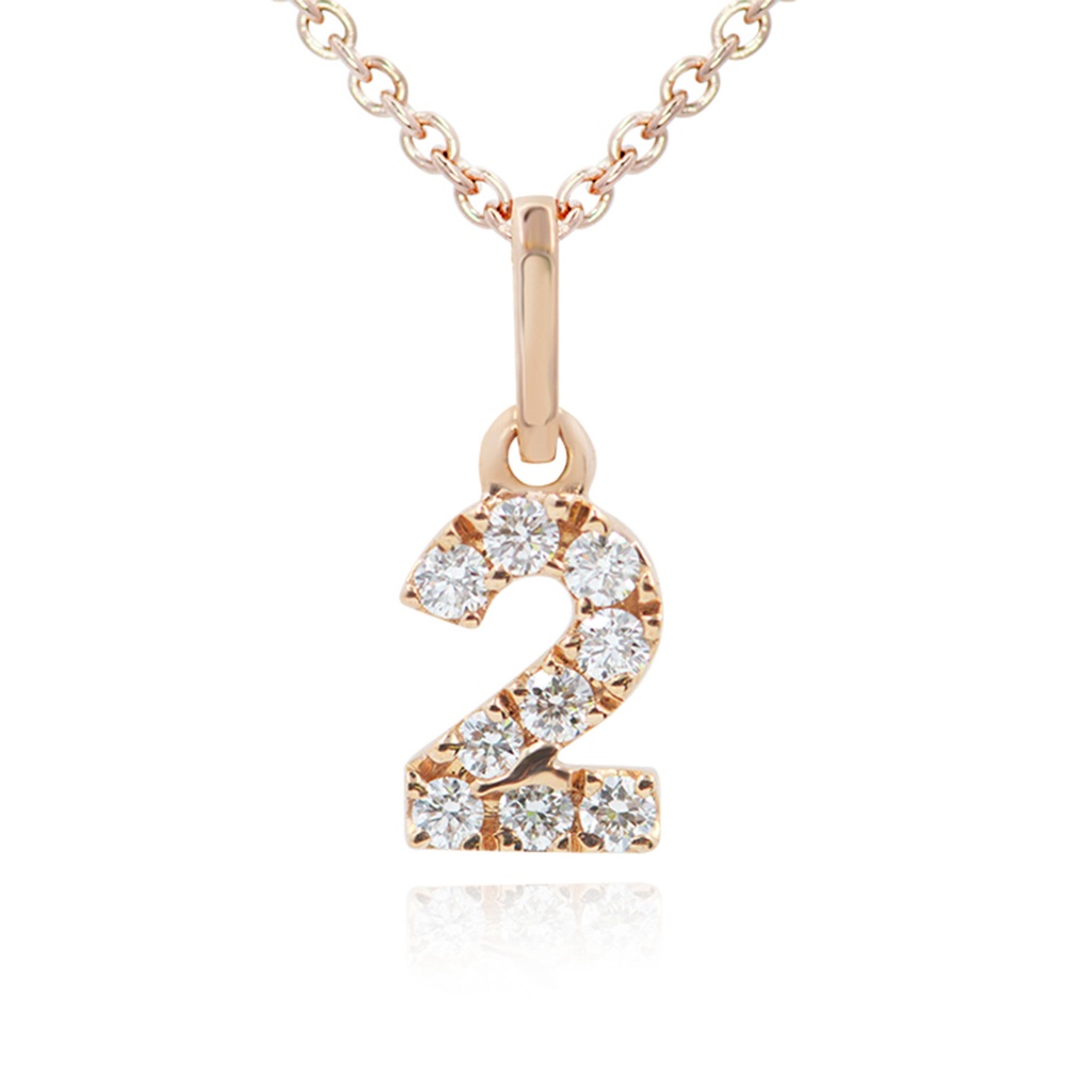 GARG C/DIJ NUMERO-2 B8P +CAD40/45CM 2.00 18KR