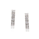 ARETES EVERYDAY  10B75P VS/G  2.2gr 18KW