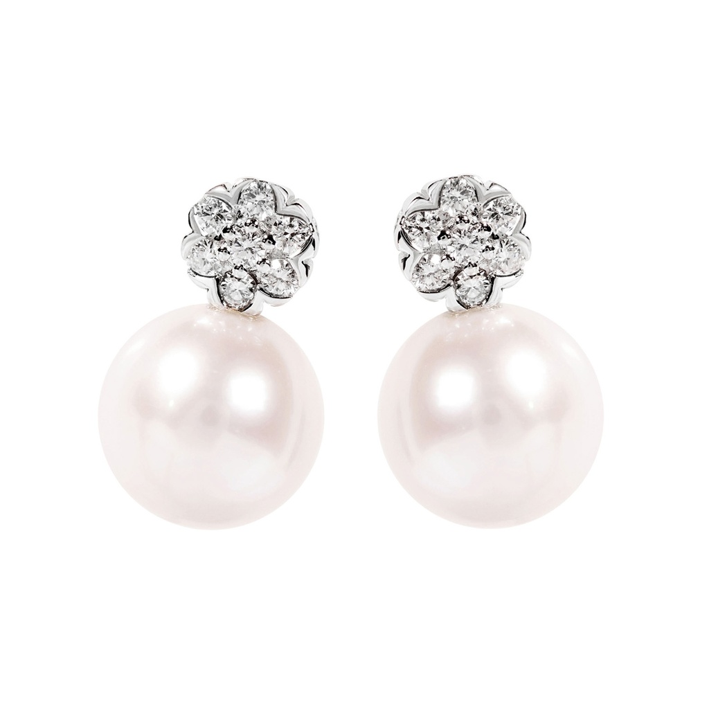 ARETES FLEUR DE MER PRL8.5M B20P 1.9gr 18KW
