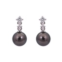 ARETES PERLA/TAHITI-8.5MM B20P 1.94 18KW