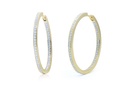 ARRACADAS BASIC HOOP 34X2MM B67P 13.1gr 18YW