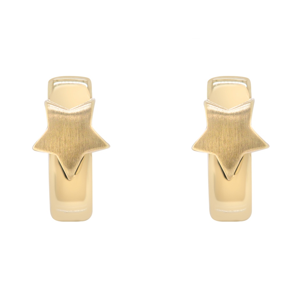 Aretes HOGGIS ESTRELLA-MATE 2.0gr 14KY
