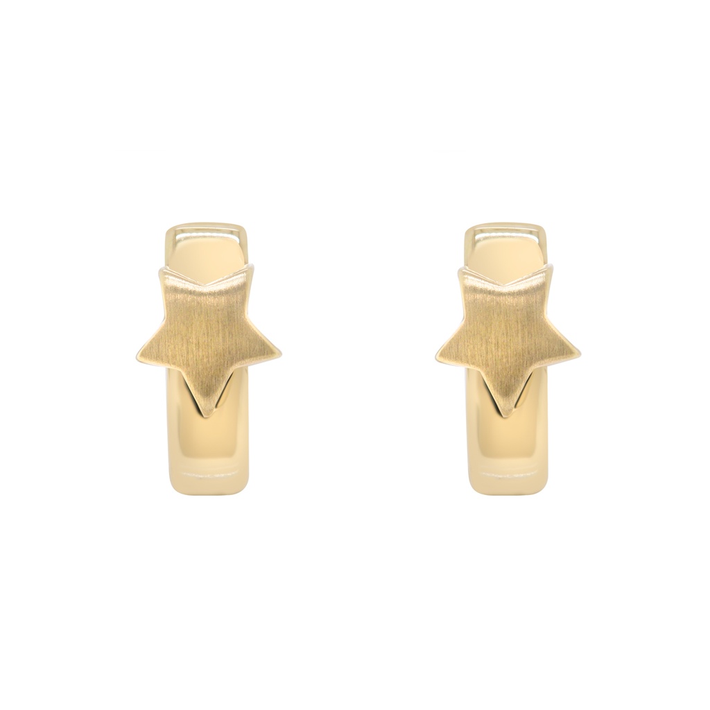 Aretes HOGGIS ESTRELLA-MATE 2.0gr 14KY
