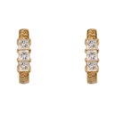 Aretes ORION B/BCOGNAC75P HSI 5.1gr 18KY