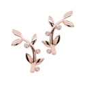 ARETES BOTANICA B3P HSI 2.82 18KR