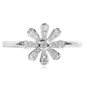 ANILLO OSTARA  25B19P VS/G  2.60 18KW